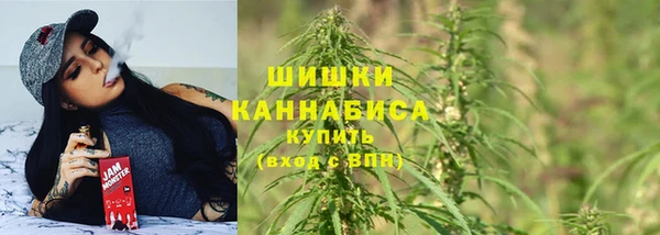 прущие грибы Дмитриев