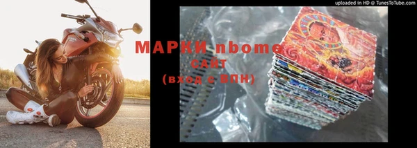 прущие грибы Дмитриев