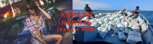 прущие грибы Дмитриев
