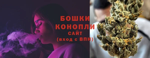 прущие грибы Дмитриев