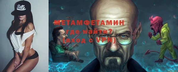прущие грибы Дмитриев