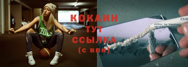 прущие грибы Дмитриев