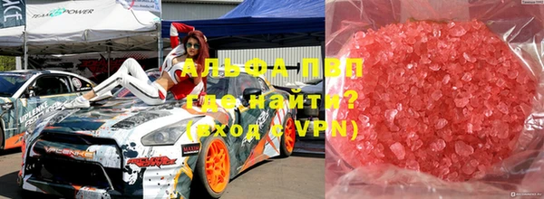 прущие грибы Дмитриев