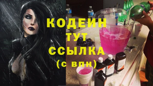 прущие грибы Дмитриев