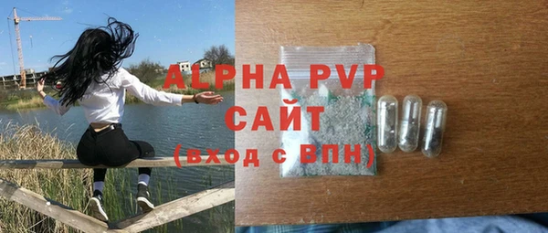 прущие грибы Дмитриев