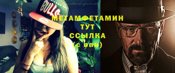 прущие грибы Дмитриев